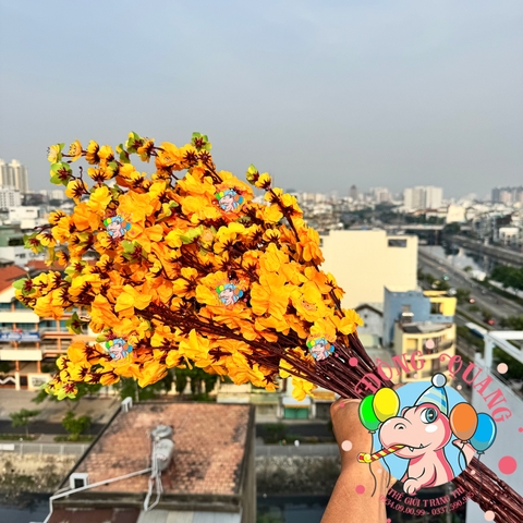 Cành mai, đào lớn