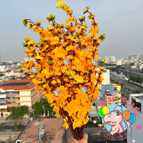 Cành mai, đào lớn