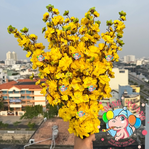 Cành mai, đào lớn