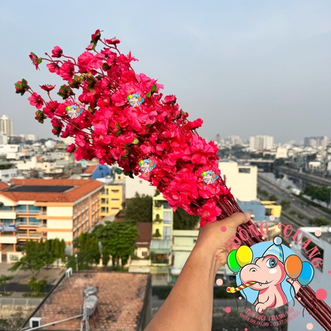 Cành mai, đào lớn