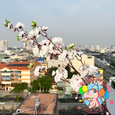 Cành mai, đào lớn