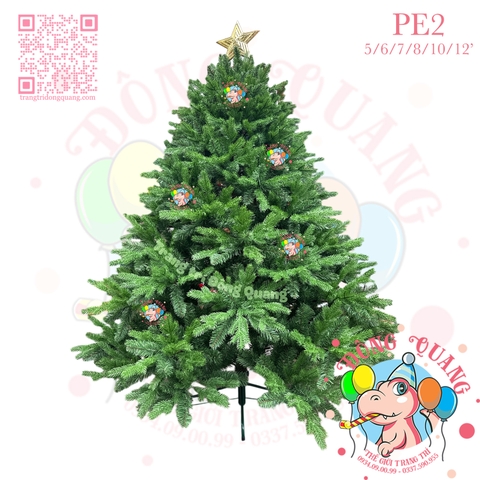 Cây thông PE (cành tự động xoè)