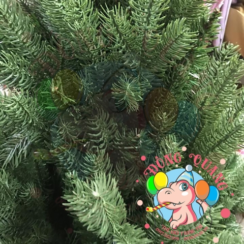 Cây thông PE (cành tự động xoè)