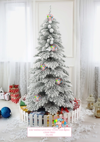 Cây thông Levo phủ tuyết tán rộng (cành treo)