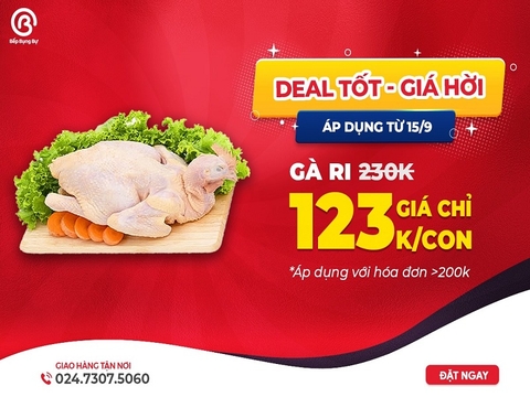 Deal tốt: Mua gà ri Hòa Bình giá chỉ 123K/con.