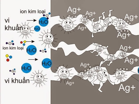 Công nghệ Nano Bạc - Từ nghiên cứu đến ứng dụng thực tế