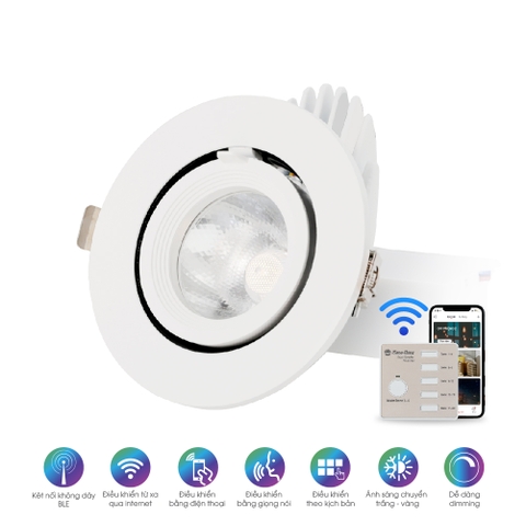 Đèn LED âm trần Downlight Xoay góc 100/9W