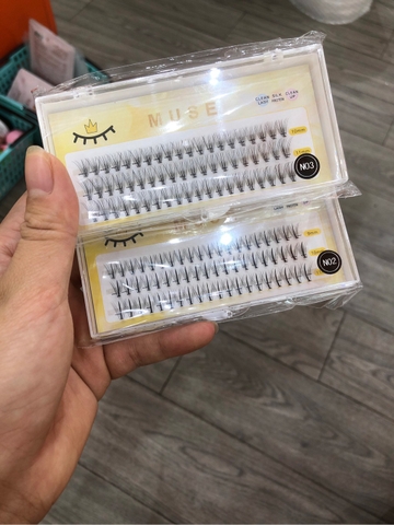 Mi sợi N02- N03