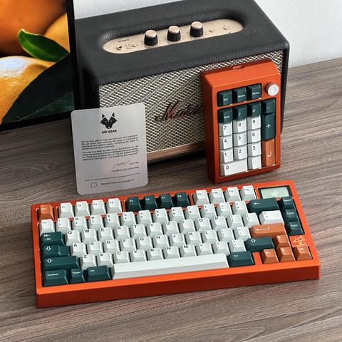 Zoom75 SE Orange x GMK Fox