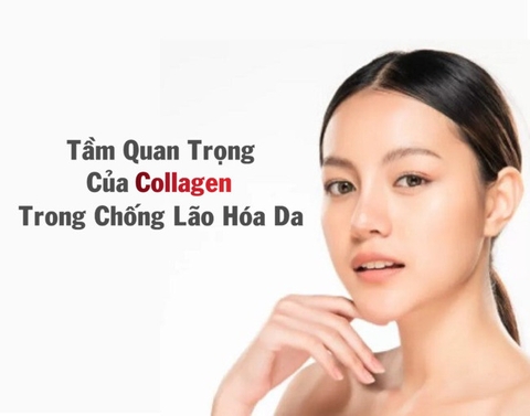Collagen và tác dụng của collagen trong phòng chống lão hóa da