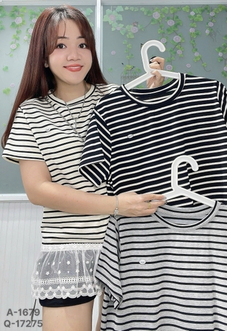 S-0020--1679 A.sọc lai Ren 00256