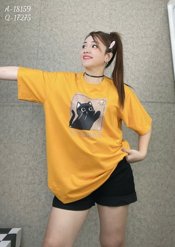 S00210- Áo thun BIGSIZE Quảng Châu cổ tròn hình M- FANCY VÀNG -18159