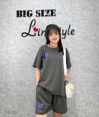 Bộ đùi màu trơn BIGSIZE QCCC chất mịn đẹp co giãn mặc mát logo Meo- 18350 - Xám