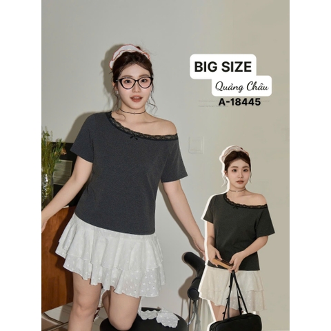 18445 - A.R1V Ren 00270