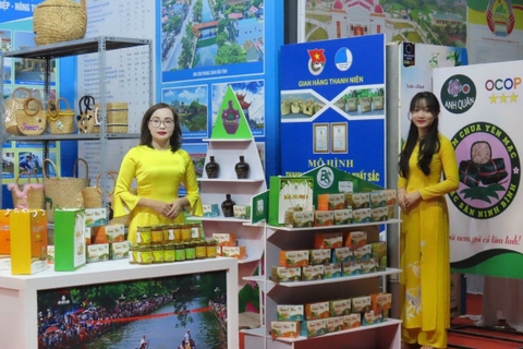 Lợi ích khi uống trà mỗi ngày