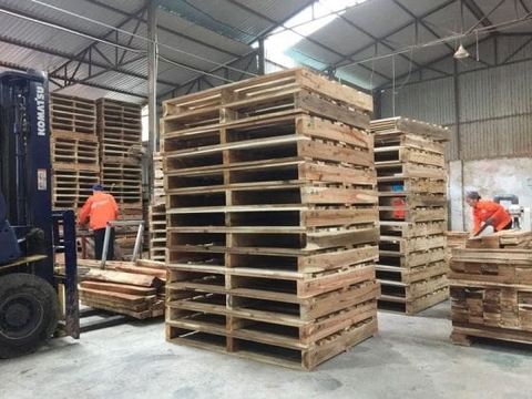 Địa chỉ cung cấp pallet tại Bắc Giang uy tín