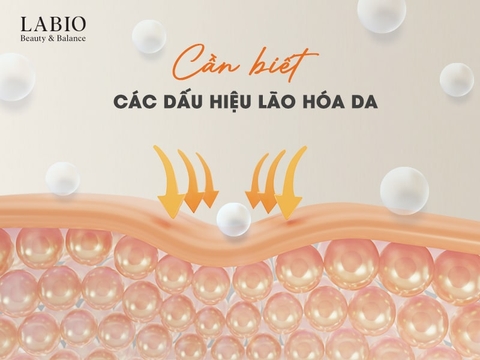 Các Dấu Hiệu Lão Hóa Da Mặt Bạn Cần Biết