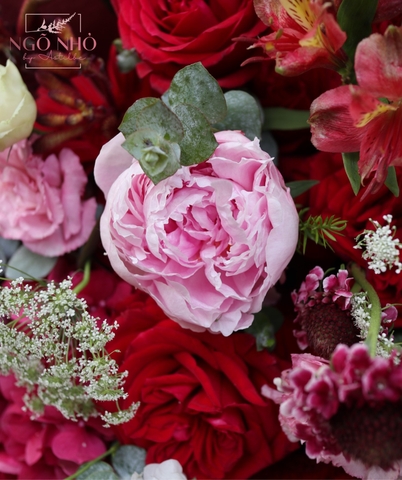 Bó Hoa Tone Đỏ 046 - Mẫu Đơn (Peony)