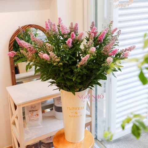 (Hoa Lẻ) Hoa Trân Châu Hồng Nhập Khẩu