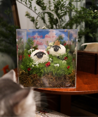 Hộp Hoa “SunnySheep”