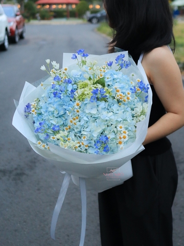 Bó Hoa Cẩm Tú Cầu mix Delphinium & Cúc Tana