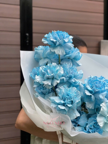 Bó 25 Bông Hồng Sky Blue (Ecuador)