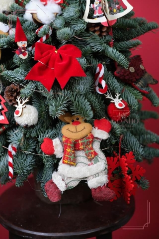 Hộp Thông Nhập Khẩu - Xmas 099