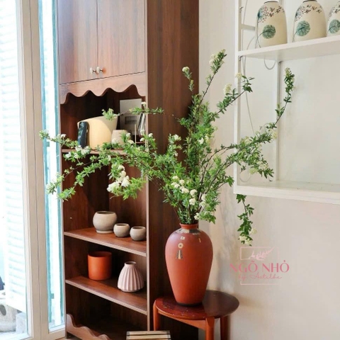 Tiểu Tú Cầu Kodemari (Nhật Bản)