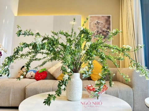 Tiểu Tú Cầu Kodemari (Nhật Bản)