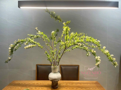 Tiểu Tú Cầu Kodemari (Nhật Bản)