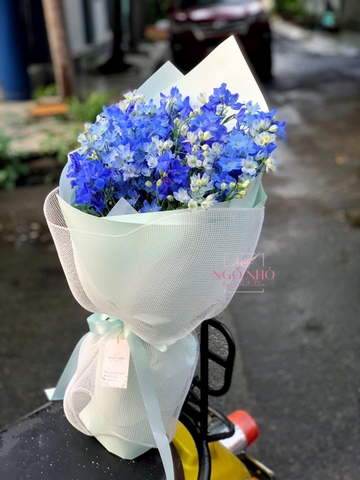 Bó tiểu delphinium xanh