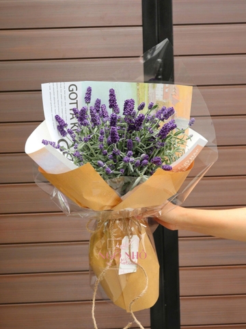 Bó Lavender