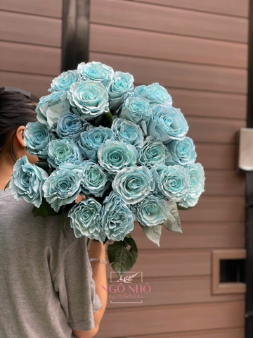 (Hoa Lẻ) Hồng Sky Blue (Hoa Nhập Ecuador)
