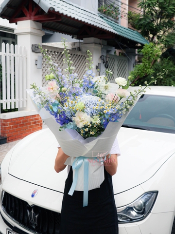 Bó Hoa Cẩm Tú Cầu Nhập | Delphinium Xanh 280