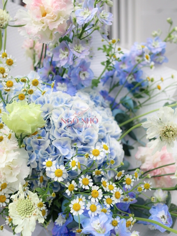 Bó Hoa Cẩm Tú Cầu Nhập | Delphinium Xanh 280