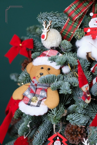 Hộp Thông Nhập Khẩu - Xmas 099