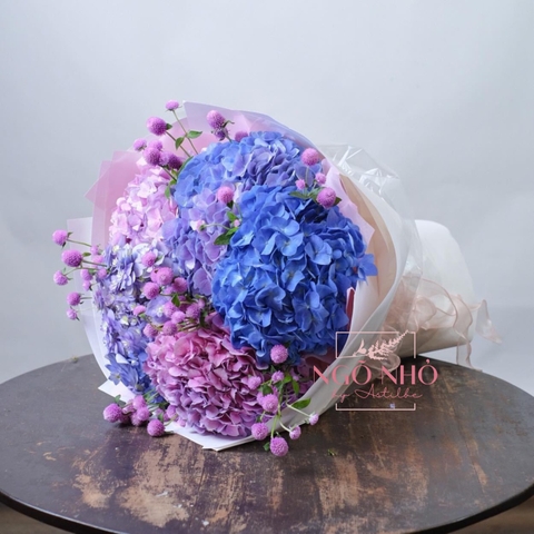 Bó Hoa Cẩm Tú Cầu Nhập Khẩu - Specials