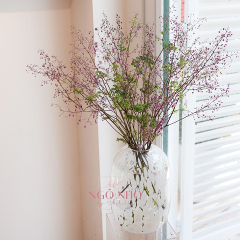 (Hoa Lẻ) Hoa Hoàng Liên Tím Nhập Khẩu