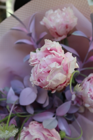 Bó Hoa Peony SARAH BERNHARDT Phối Thúy Châu 1860