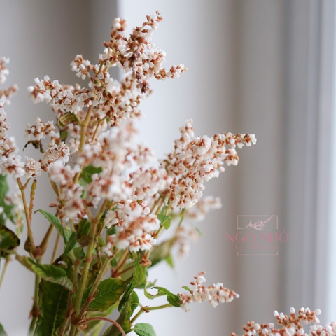 (Hoa Lẻ) Hoa Erica/ Poly Nhập Khẩu