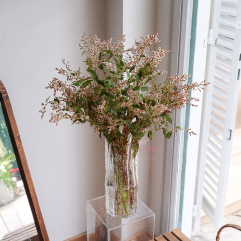 (Hoa Lẻ) Hoa Erica/ Poly Nhập Khẩu
