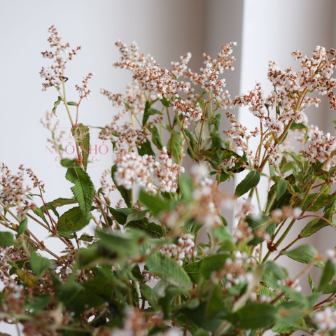 (Hoa Lẻ) Hoa Erica/ Poly Nhập Khẩu