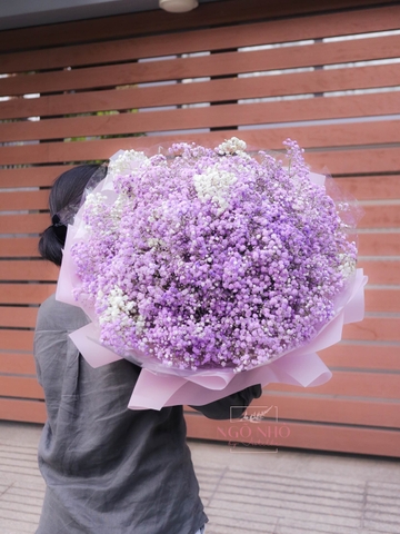 Bó Hoa Babi Tím Nhập Khẩu 3712