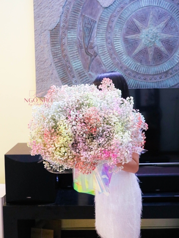 Bó Hoa Babi Rainbown Nhập Khẩu 808