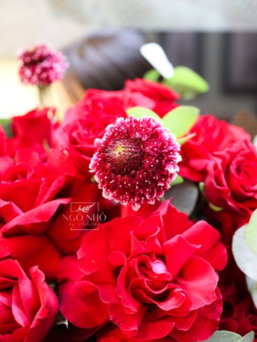 Bó Hoa Dáng Tròn | Hồng Đỏ Ecuador 892