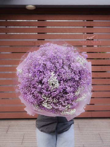 Bó Hoa Babi Tím Nhập Khẩu 3712