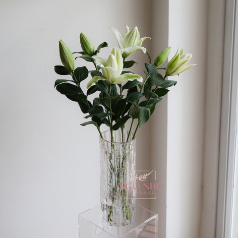 (Hoa lẻ) Hoa Ly Kép Hồng & Trắng