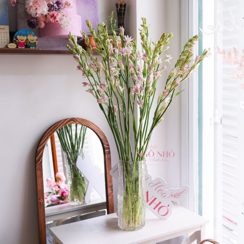 (Hoa Lẻ) Hoa Huệ Hồng Siêu Thơm Nhập Khẩu