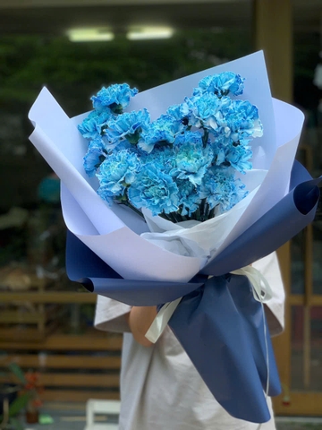 Bó 20 bông cẩm chướng Blue nhập