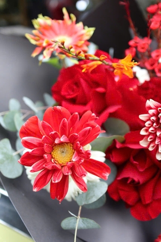 Bó thược dược đỏ, hồng đỏ